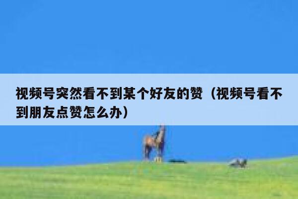 视频号突然看不到某个好友的赞（视频号看不到朋友点赞怎么办） 第1张