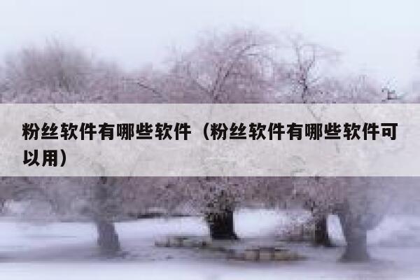 粉丝软件有哪些软件(粉丝软件有哪些软件可以用) 第1张 粉丝软件有哪些软件(粉丝软件有哪些软件可以用) 第1张