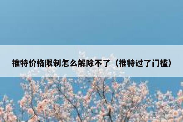 推特价格限制怎么解除不了（推特过了门槛） 第1张