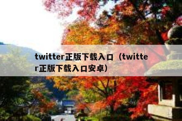 twitter正版下载入口（twitter正版下载入口安卓） 第1张
