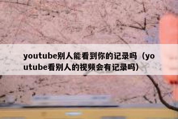youtube别人能看到你的记录吗（youtube看别人的视频会有记录吗） 第1张