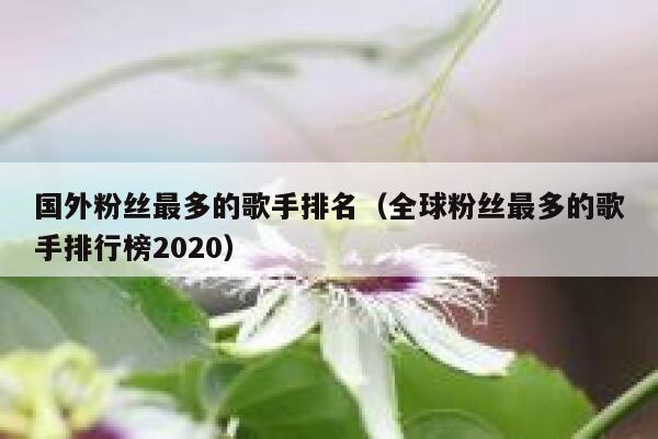 国外粉丝最多的歌手排名（全球粉丝最多的歌手排行榜2020） 第1张