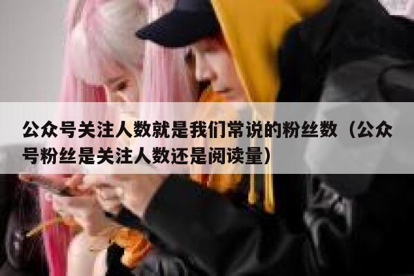 公众号关注人数就是我们常说的粉丝数（公众号粉丝是关注人数还是阅读量） 第1张