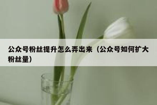公众号粉丝提升怎么弄出来（公众号如何扩大粉丝量） 第1张