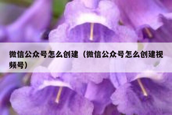 微信公众号怎么创建（微信公众号怎么创建视频号） 第1张