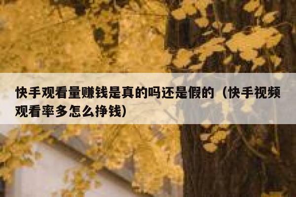 快手观看量赚钱是真的吗还是假的（快手视频观看率多怎么挣钱） 第1张