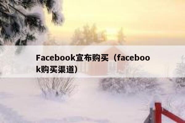 Facebook宣布购买（facebook购买渠道） 第1张