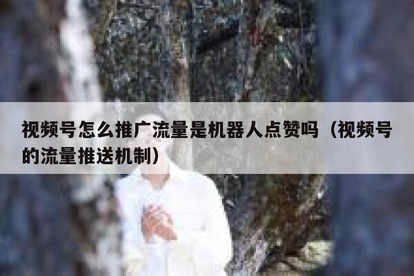 视频号怎么推广流量是机器人点赞吗（视频号的流量推送机制） 第1张