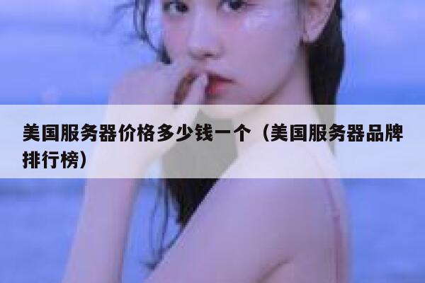 美国服务器价格多少钱一个（美国服务器品牌排行榜） 第1张