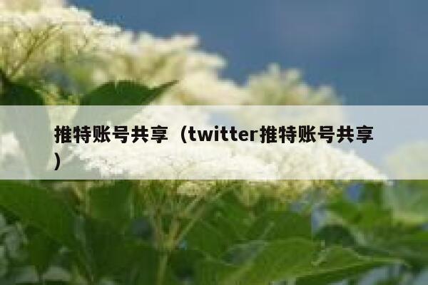 推特账号共享（twitter推特账号共享） 第1张
