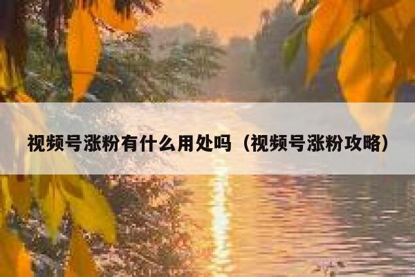 视频号涨粉有什么用处吗（视频号涨粉攻略） 第1张