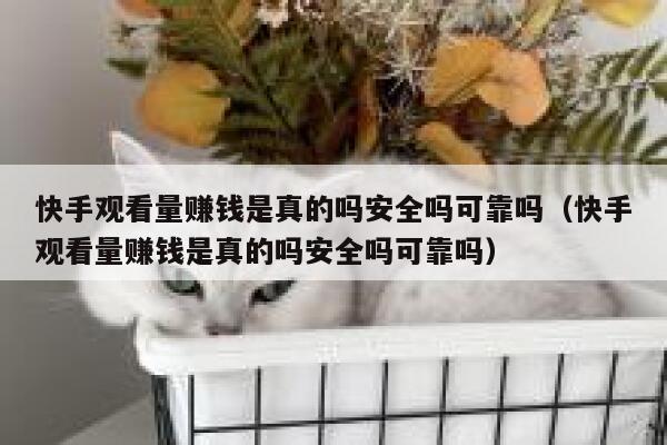 快手观看量赚钱是真的吗安全吗可靠吗（快手观看量赚钱是真的吗安全吗可靠吗） 第1张