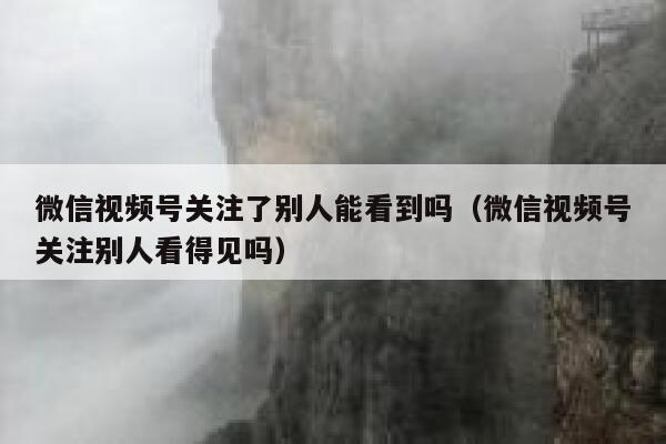 微信视频号关注了别人能看到吗（微信视频号关注别人看得见吗） 第1张