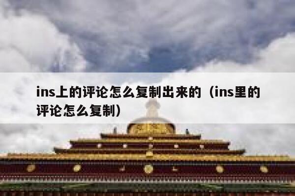 ins上的评论怎么复制出来的（ins里的评论怎么复制） 第1张