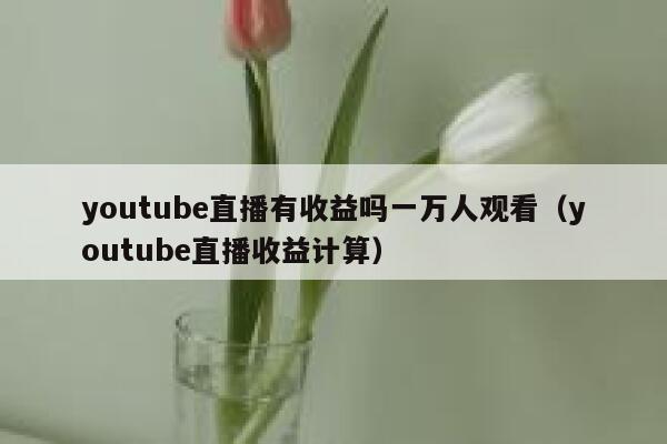 youtube直播有收益吗一万人观看（youtube直播收益计算） 第1张