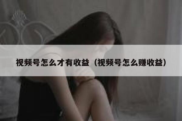 视频号怎么才有收益（视频号怎么赚收益） 第1张