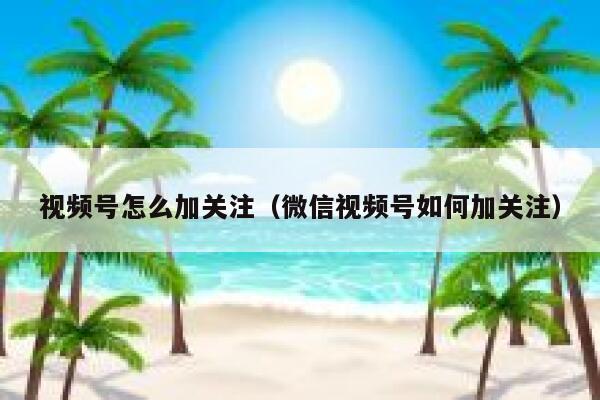 视频号怎么加关注（微信视频号如何加关注） 第1张