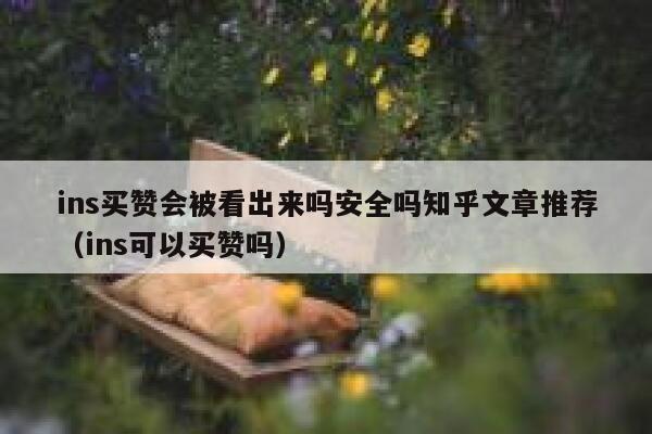 ins买赞会被看出来吗安全吗知乎文章推荐（ins可以买赞吗） 第1张