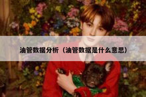 油管数据分析（油管数据是什么意思） 第1张