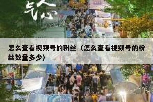 怎么查看视频号的粉丝（怎么查看视频号的粉丝数量多少） 第1张