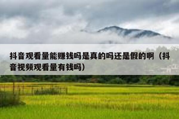 抖音观看量能赚钱吗是真的吗还是假的啊（抖音视频观看量有钱吗） 第1张