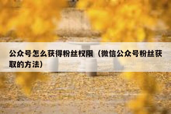 公众号怎么获得粉丝权限（微信公众号粉丝获取的方法） 第1张