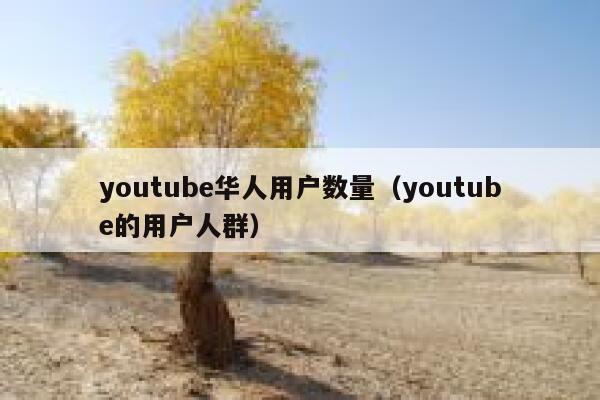 youtube华人用户数量（youtube的用户人群） 第1张