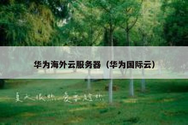 华为海外云服务器（华为国际云） 第1张