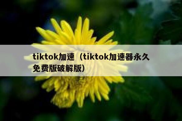 tiktok加速（tiktok加速器永久免费版破解版） 第1张