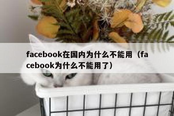 facebook在国内为什么不能用（facebook为什么不能用了） 第1张
