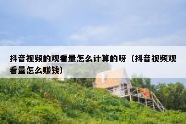 抖音视频的观看量怎么计算的呀（抖音视频观看量怎么赚钱） 第1张