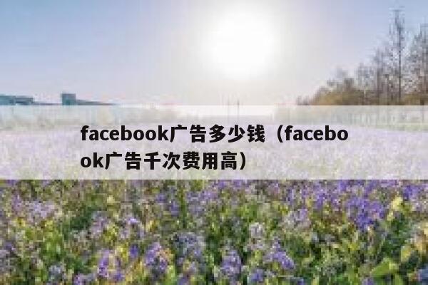 facebook广告多少钱（facebook广告千次费用高） 第1张