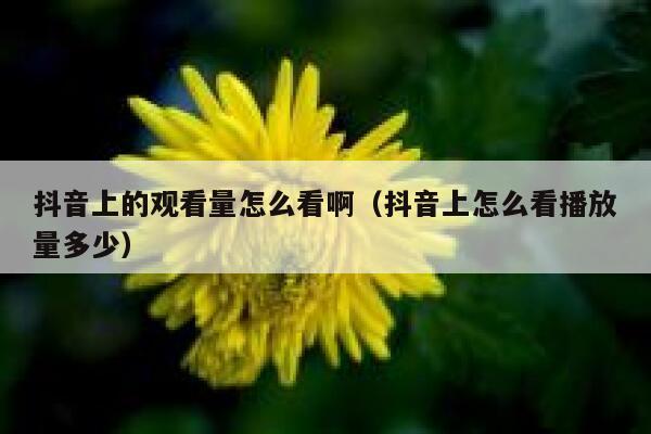 抖音上的观看量怎么看啊（抖音上怎么看播放量多少） 第1张