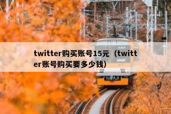 twitter购买账号15元（twitter账号购买要多少钱） 第1张