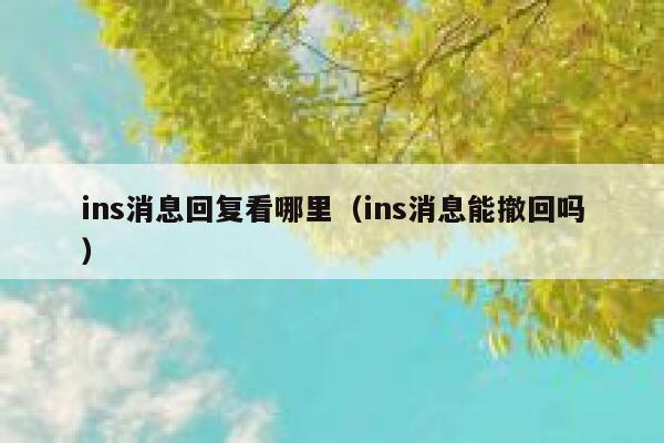 ins消息回复看哪里（ins消息能撤回吗） 第1张