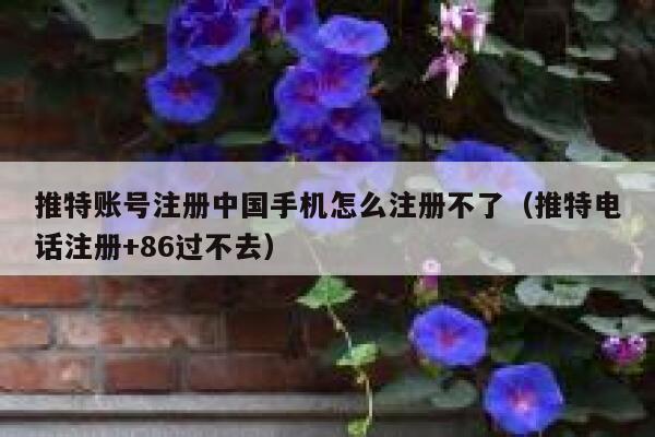 推特账号注册中国手机怎么注册不了（推特电话注册+86过不去） 第1张
