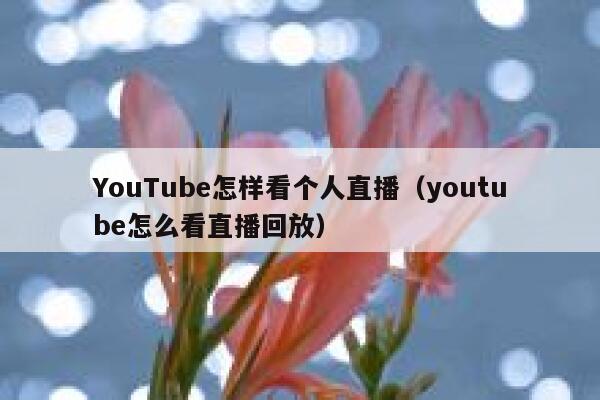 YouTube怎样看个人直播（youtube怎么看直播回放） 第1张