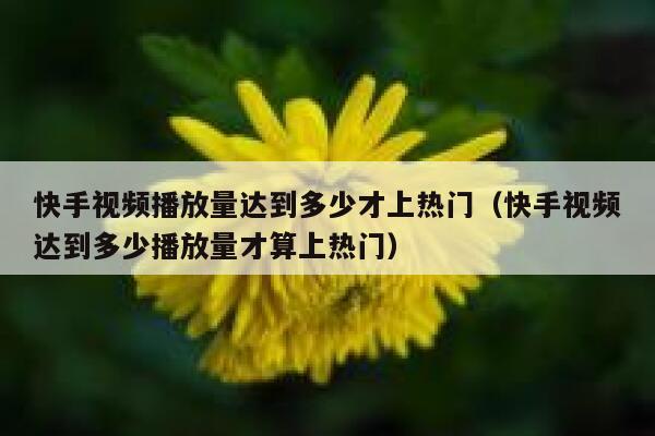快手视频播放量达到多少才上热门（快手视频达到多少播放量才算上热门） 第1张