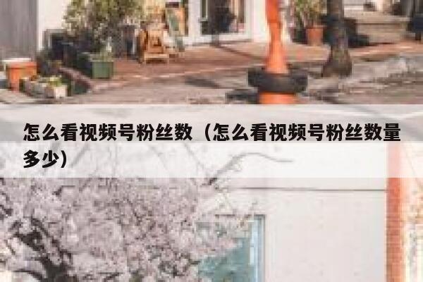 怎么看视频号粉丝数（怎么看视频号粉丝数量多少） 第1张