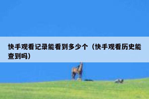 快手观看记录能看到多少个（快手观看历史能查到吗） 第1张