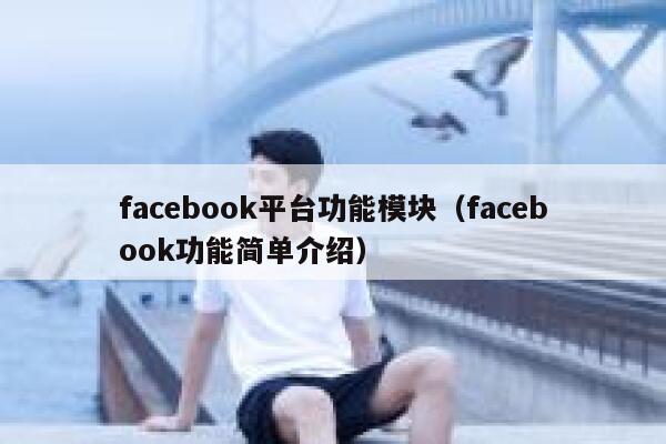 facebook平台功能模块（facebook功能简单介绍） 第1张