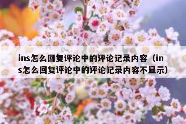 ins怎么回复评论中的评论记录内容（ins怎么回复评论中的评论记录内容不显示） 第1张