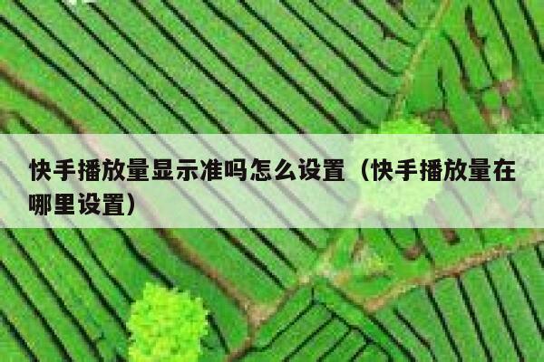 快手播放量显示准吗怎么设置（快手播放量在哪里设置） 第1张
