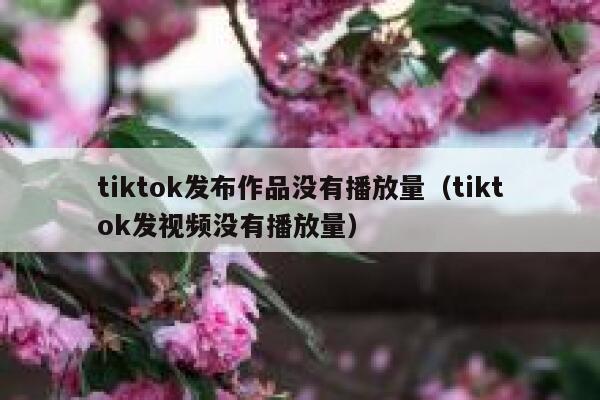 tiktok发布作品没有播放量（tiktok发视频没有播放量） 第1张