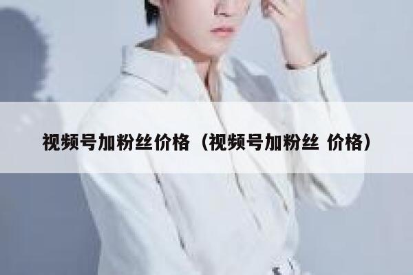 视频号加粉丝价格（视频号加粉丝 价格） 第1张