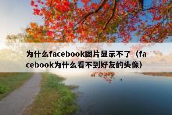 为什么facebook图片显示不了（facebook为什么看不到好友的头像） 第1张
