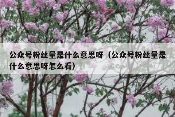 公众号粉丝量是什么意思呀（公众号粉丝量是什么意思呀怎么看） 第1张