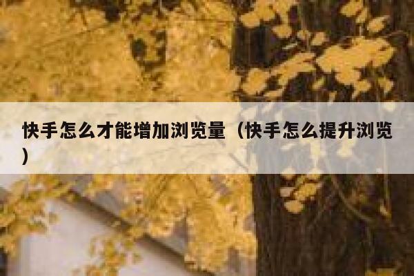 快手怎么才能增加浏览量（快手怎么提升浏览） 第1张