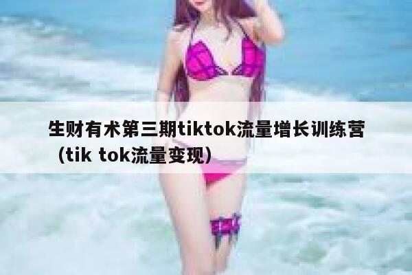 生财有术第三期tiktok流量增长训练营（tik tok流量变现） 第1张