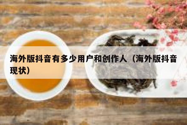 海外版抖音有多少用户和创作人（海外版抖音现状） 第1张